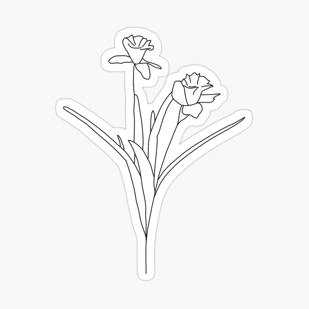 Daffodil Tattoo Black And White, Pencil Daffodil Drawing, Flowers Coloring  Pages, And Book, Vector Sketch Of Narcissus Flower, Hand Drawn Daffodil  Flowers Royalty Free SVG, Cliparts, Vectors, and Stock Illustration. Image  206070433.