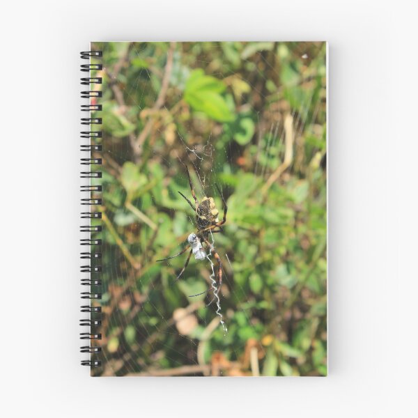 Item preview, Orb Weaver Spider With Prey designed and sold by rhamm.
