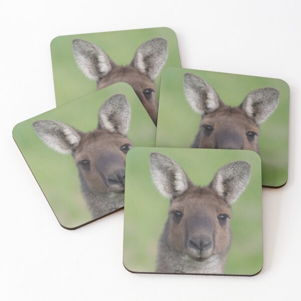 Item preview, Australian kangaroo extreme close face photo designed and sold by hendrikspix.