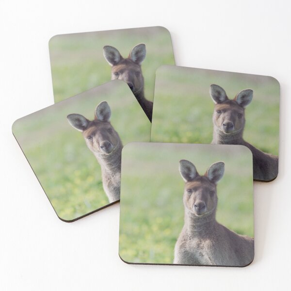 Item preview, Australian kangaroo male in the outback designed and sold by hendrikspix.