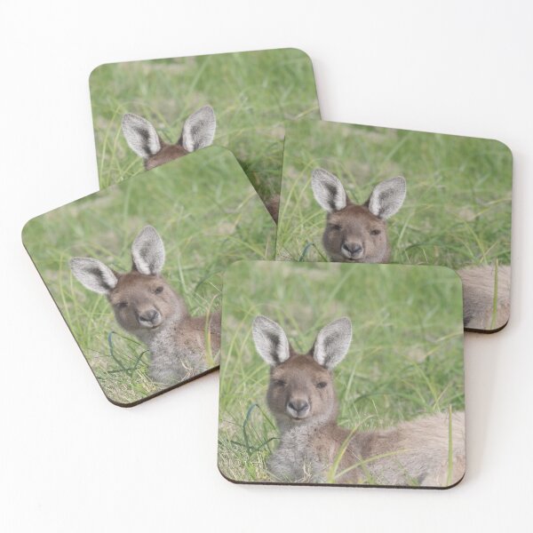 Item preview, Small Australian kangaroo taking a nap in the sun designed and sold by hendrikspix.