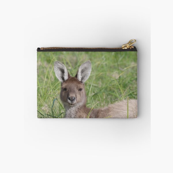 Item preview, Small Australian kangaroo taking a nap in the sun designed and sold by hendrikspix.