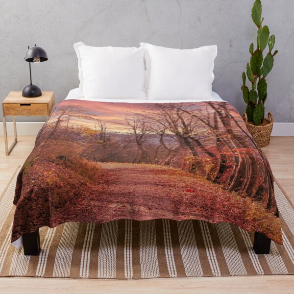 Item preview, Forest path in autumn, nature on the Swabian Alb designed and sold by Mauswohn.