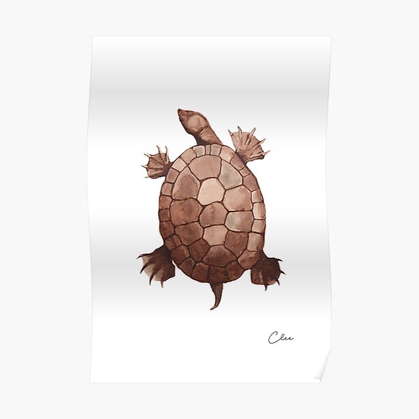 Tortue Posters For Sale Redbubble