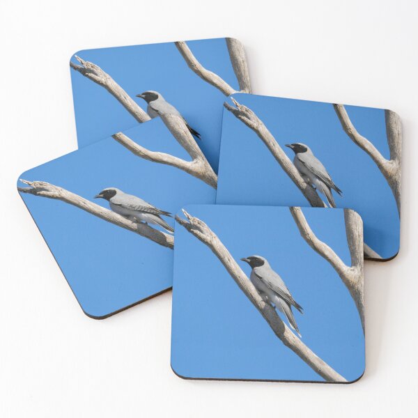 Item preview, Cuckooshrike native bird in the wild designed and sold by hendrikspix.