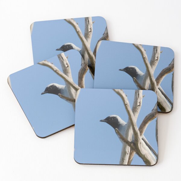 Item preview, Cuckooshrike native bird in the wild designed and sold by hendrikspix.