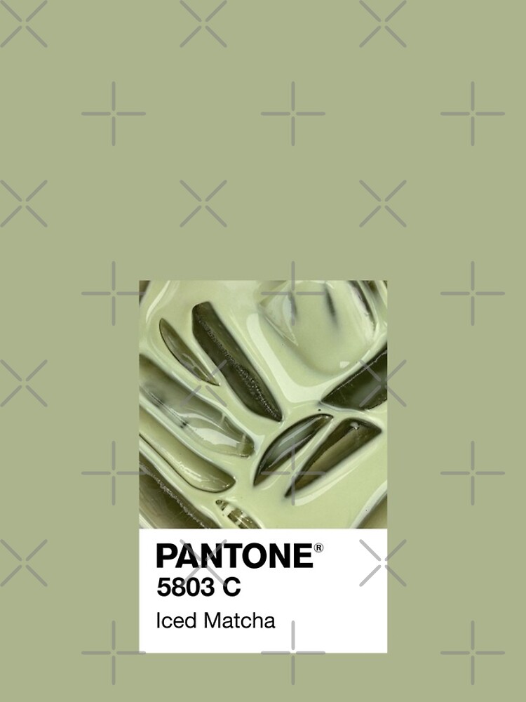 Disover Pantone Iced Matcha Iphone Case