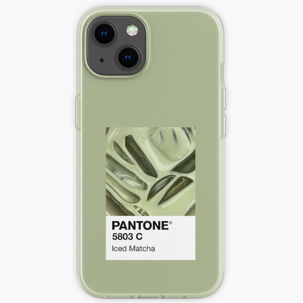 Pantone Iced Matcha iPhone Soft Case