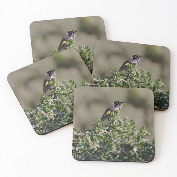 Item preview, Australian honeyeater ontop of a bush designed and sold by hendrikspix.