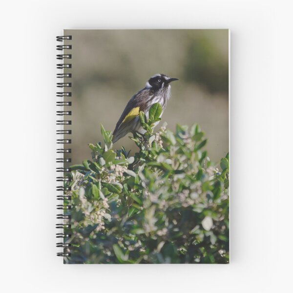Item preview, Australian honeyeater ontop of a bush designed and sold by hendrikspix.