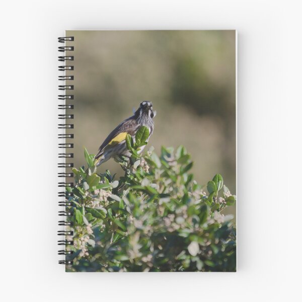 Item preview, Australian honeyeater ontop of a bush designed and sold by hendrikspix.