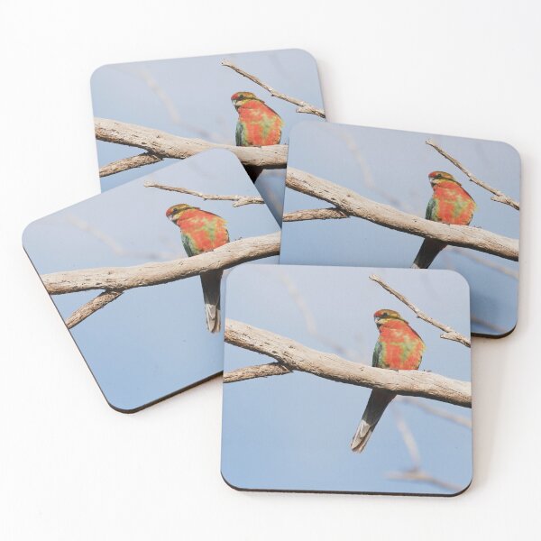Item preview, Wild Western Rosella parrot in a dead tree designed and sold by hendrikspix.