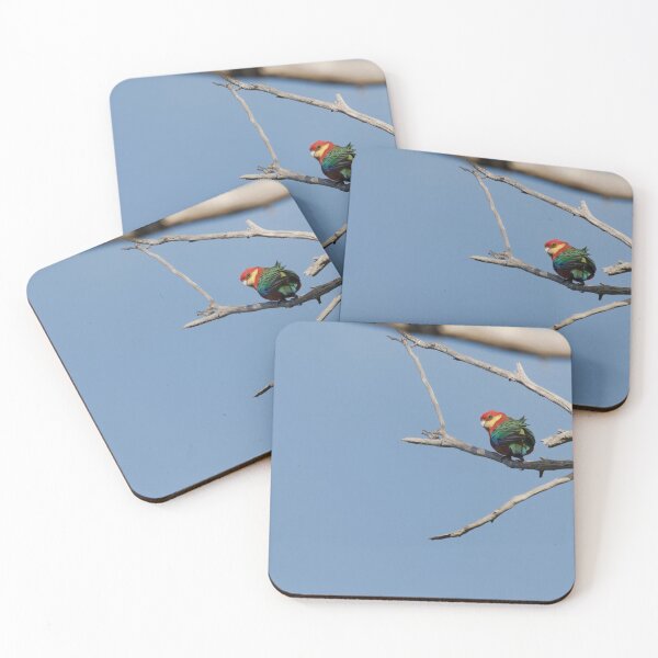 Item preview, Wild Western Rosella parrot in a dead tree designed and sold by hendrikspix.