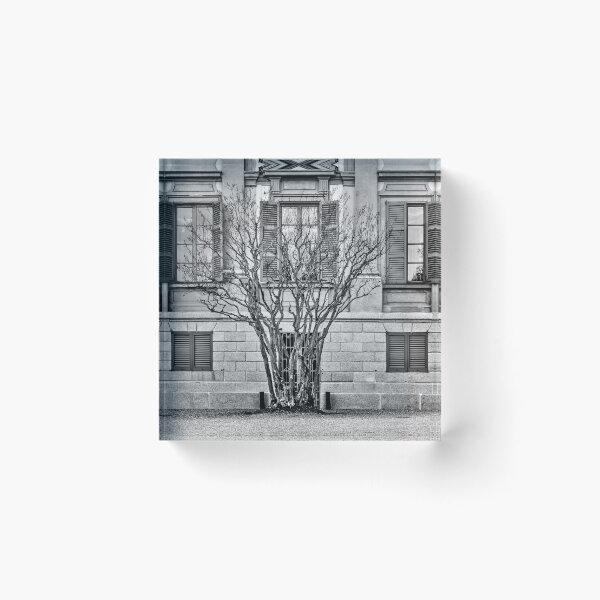 Item preview, Behind the bare tree designed and sold by Roberto Pagani.