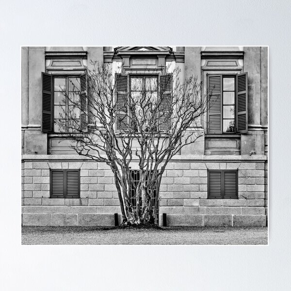 Item preview, Behind the bare tree designed and sold by Roberto Pagani.