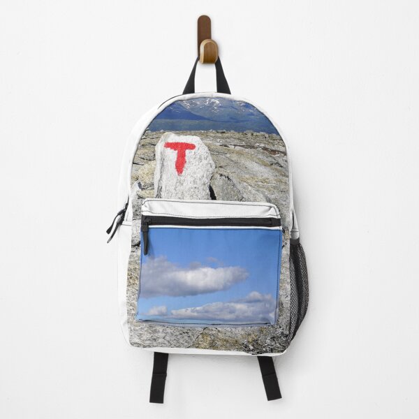 Item preview, Trail Marker on a Hiking Path in Norwegian Mountains designed and sold by AWomanAfoot.