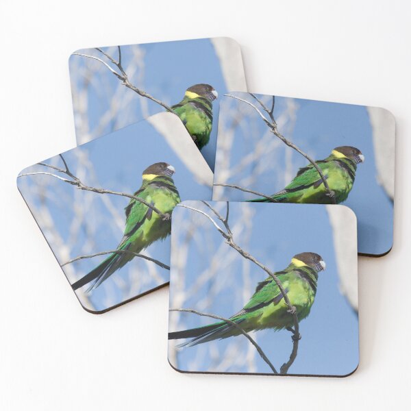 Item preview, Wild Australian Ringneck in a tree designed and sold by hendrikspix.