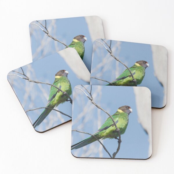 Item preview, Wild Australian Ringneck in a tree designed and sold by hendrikspix.