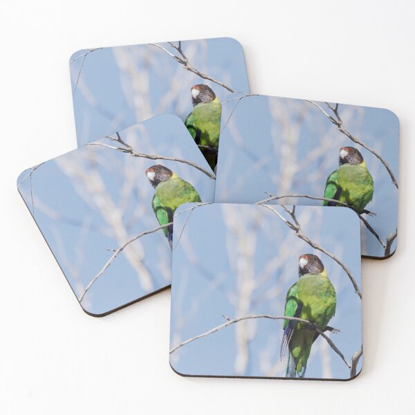 Item preview, Wild Australian Ringneck in a tree designed and sold by hendrikspix.