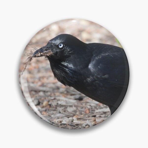 Item preview, Australian Raven getting sticks for its nest designed and sold by hendrikspix.