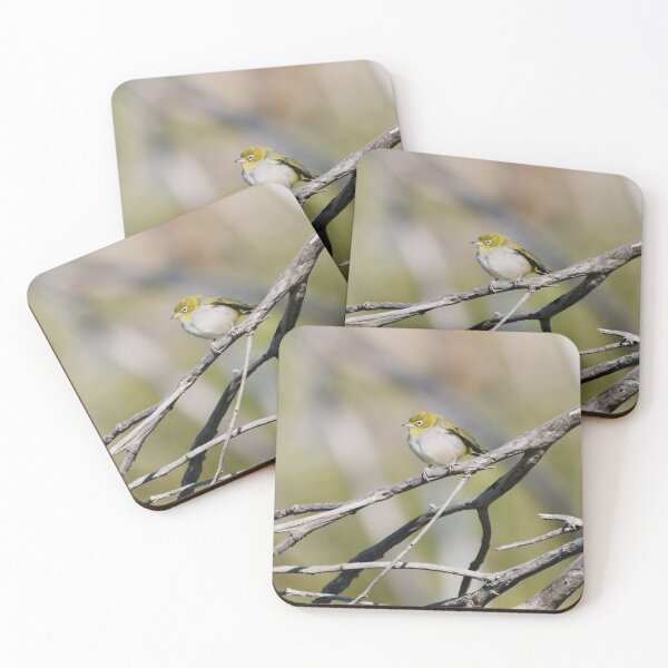 Item preview, Native West Australian bird called Silvereye on a branch designed and sold by hendrikspix.