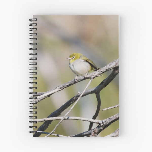 Item preview, Native West Australian bird called Silvereye on a branch designed and sold by hendrikspix.