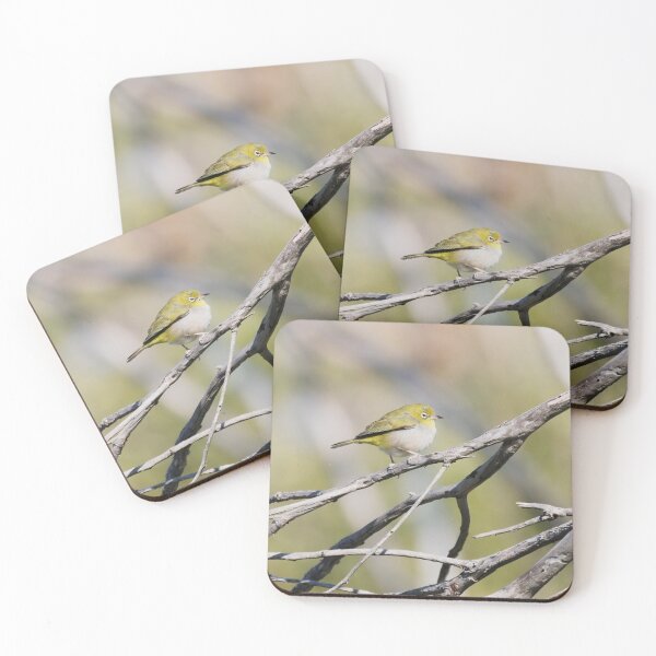 Item preview, Native West Australian bird called Silvereye on a branch designed and sold by hendrikspix.