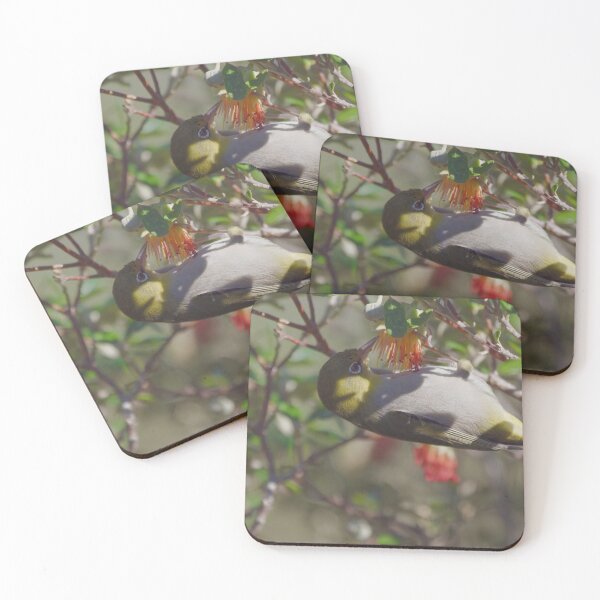 Item preview, Native West Australian bird called the Silvereye feeding on nectar designed and sold by hendrikspix.