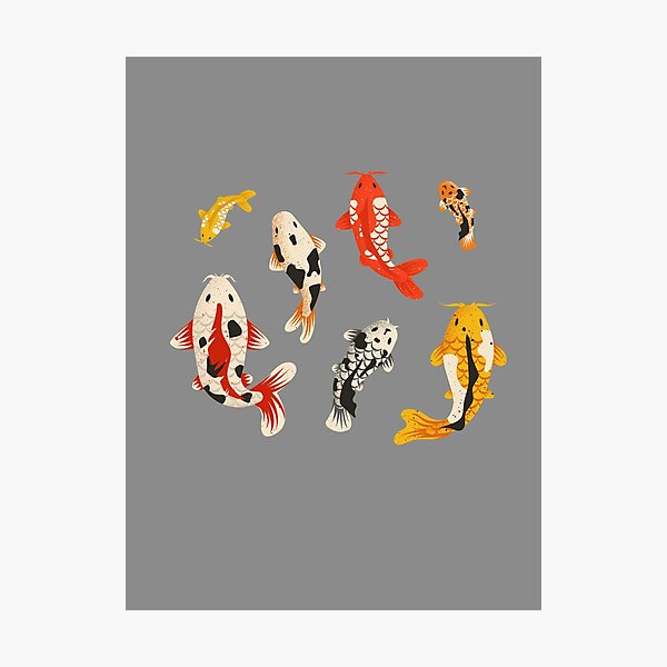 Vista previa del artículo con la obra «Pez koi: pequeño y colorido», diseñado y vendido por dumplingdesign.