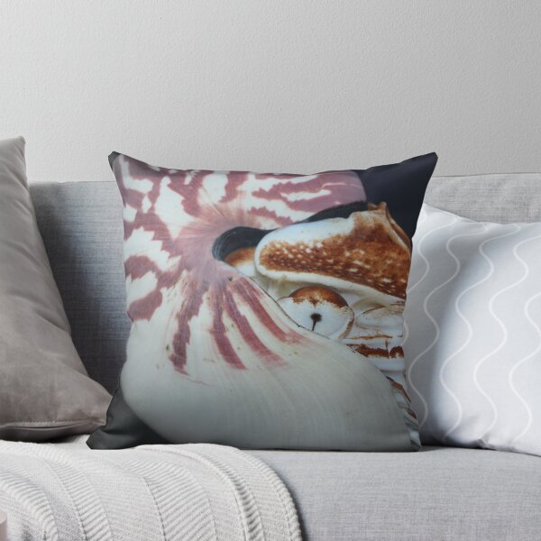Item preview, Nautilus designed and sold by Ben Goldberg.