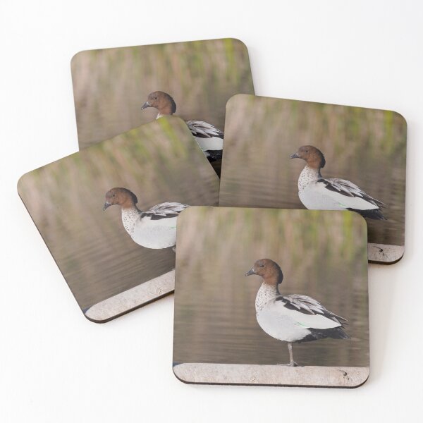 Item preview, Australian wood duck near its pond designed and sold by hendrikspix.