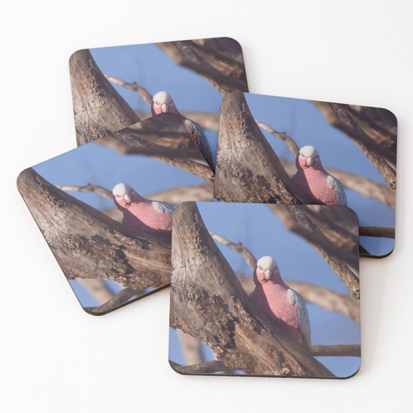 Item preview, Galah in a tree on a bright sunny morning designed and sold by hendrikspix.