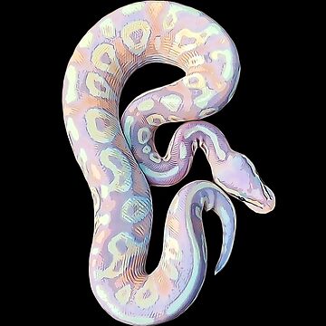 Ball Python Axanthic Pied Snake Poster for Sale by Elarex