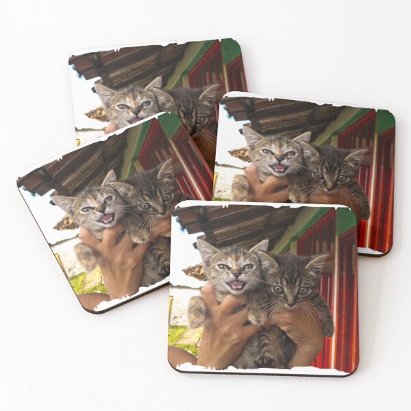 Item preview, Kittens For Adoption designed and sold by alabca.