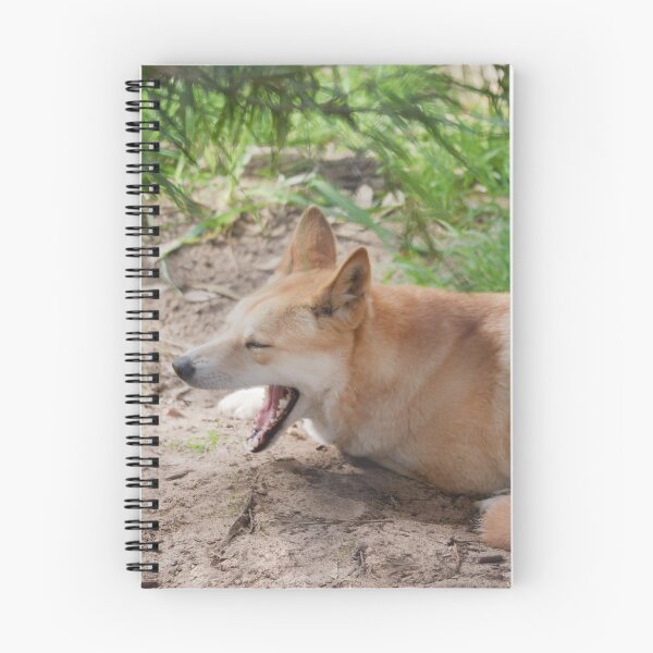 Item preview, Yawning Australian dingo resting under a tree in the shade designed and sold by hendrikspix.