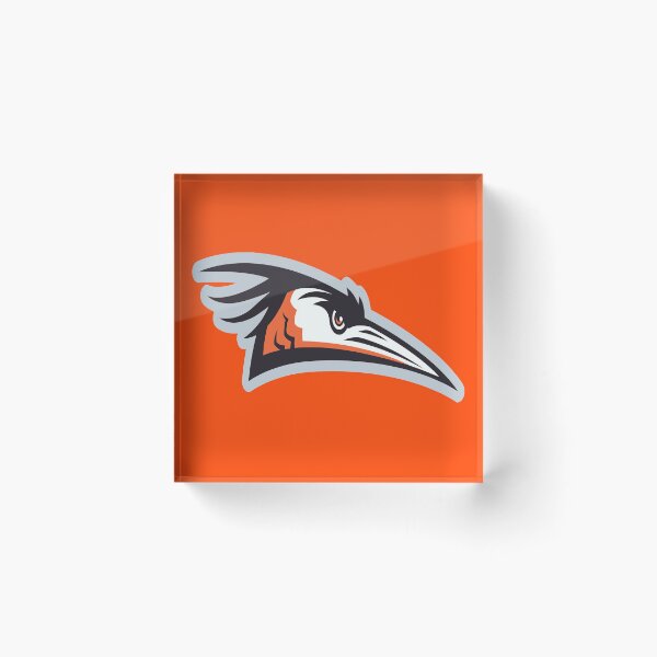 Item preview, Delmarva Shorebirds designed and sold by aslintedtea.