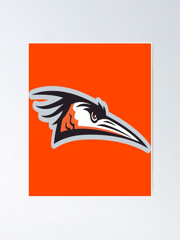 Delmarva Shorebirds Premium Pennant