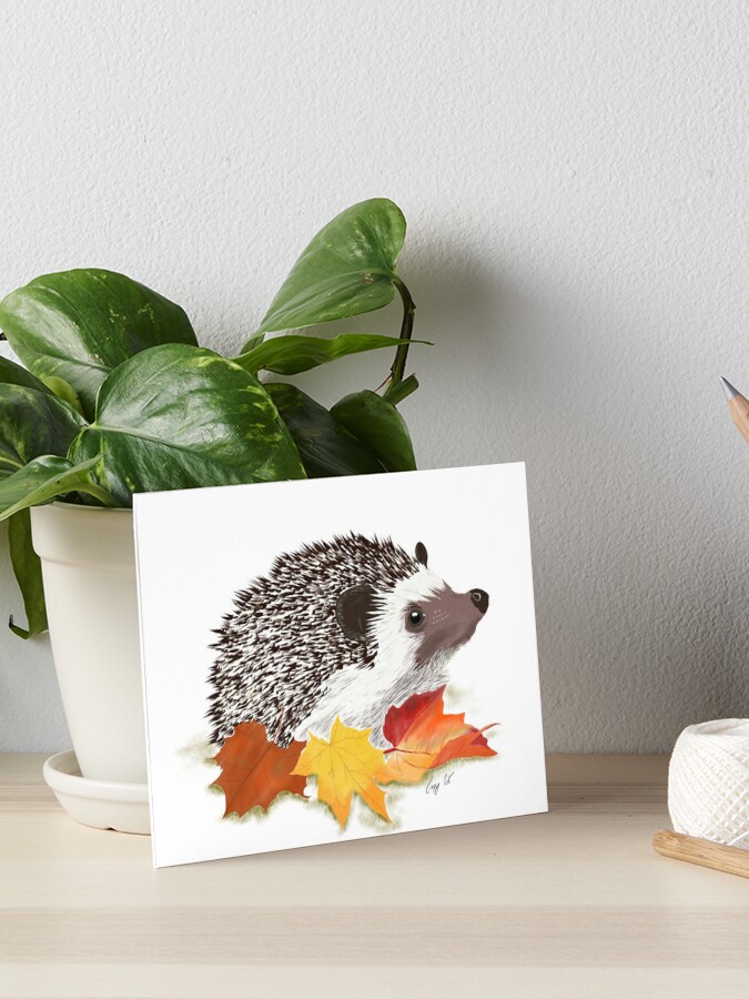 Harold the Australian Hedgehog" Art Board Print by lauramcart |