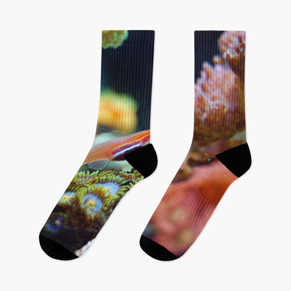 Item preview, Coral reef and fish underwater designed and sold by Delicarte.