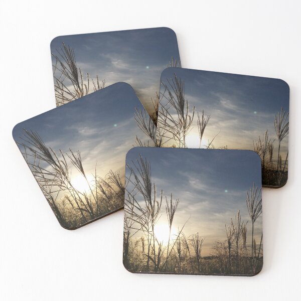 Item preview, Reed field and sunset designed and sold by BL0814ART.