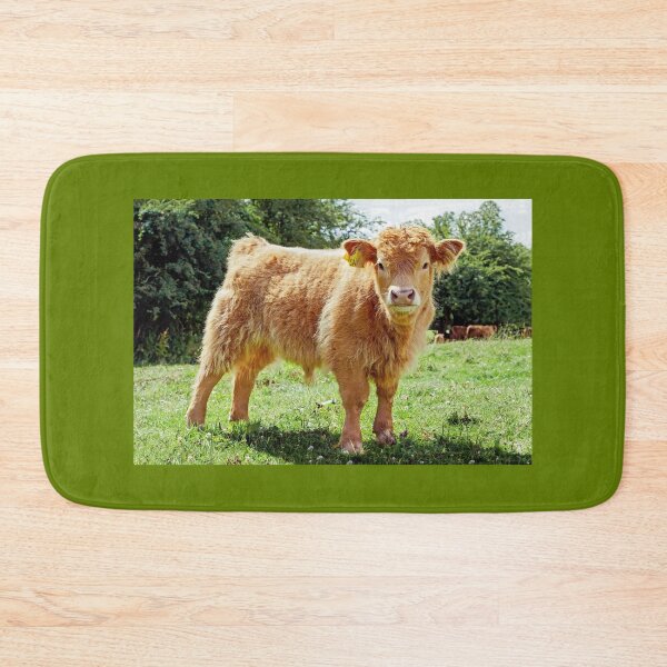 Item preview, Highland Cow, The Inquisitive Calf designed and sold by mhfore.