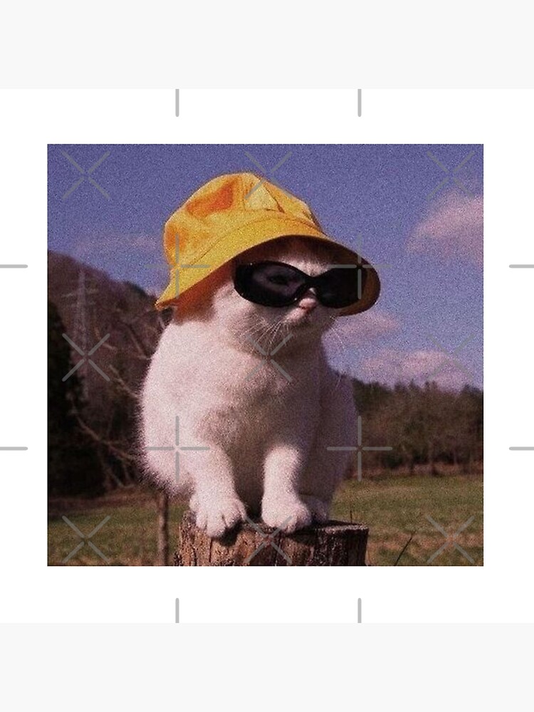 Normal Torpe Respeto a ti mismo Lámina rígida «Gato con sombrero y gafas de sol» de softlycarol | Redbubble