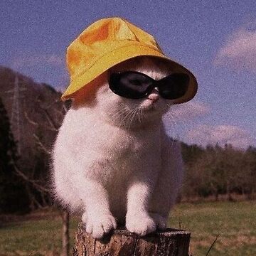 Cat using hat and sunglasses | Sticker