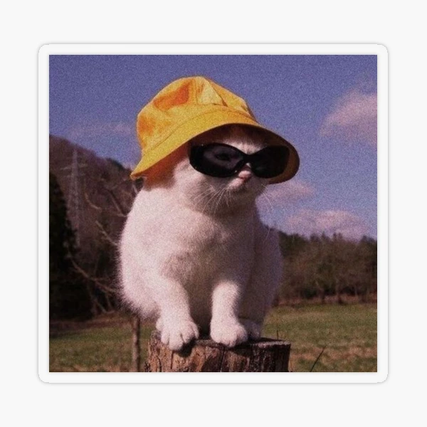 Cat wearing a bucket hat and glasses Sticker for Sale by Serenesart