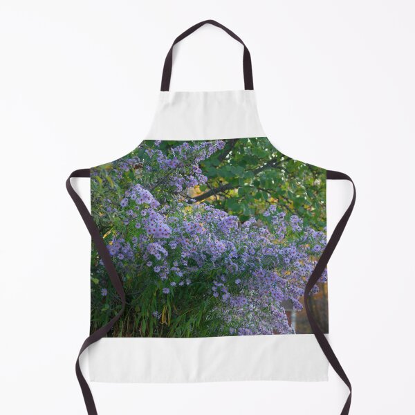 Item preview, Beautiful Fall Asters in Julian California designed and sold by K D Graves Photography.