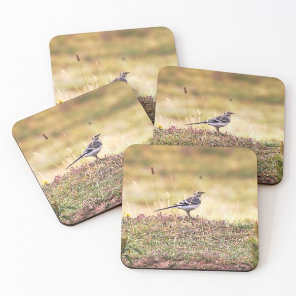 Item preview, Pied wagtail  designed and sold by Roy-Jacobs.