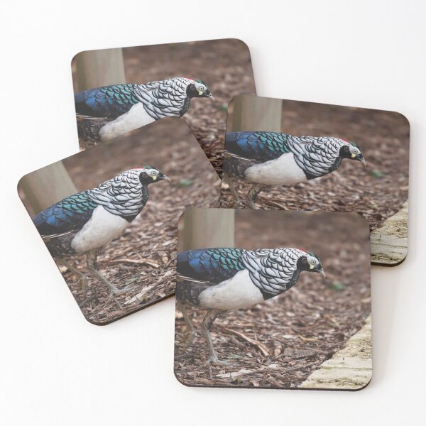 Item preview, Lady Amherst Pheasant looking for food designed and sold by hendrikspix.