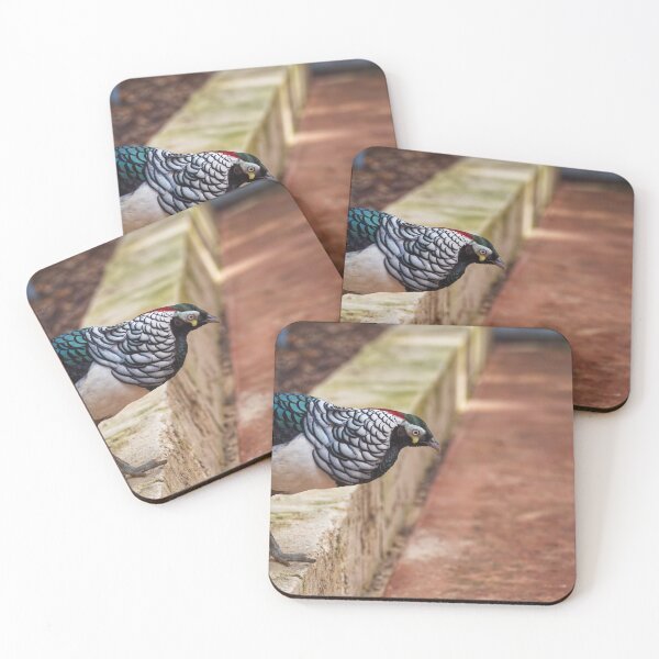 Item preview, Lady Amherst Pheasant looking for food designed and sold by hendrikspix.