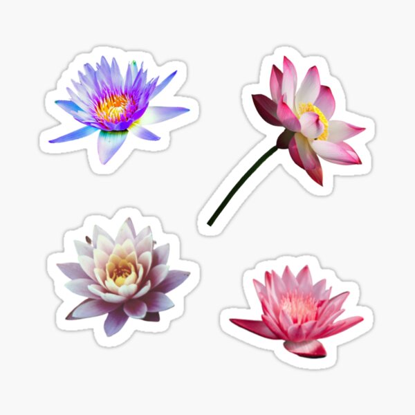 Aperçu de l'œuvre Pack d'autocollants en soie de lotus créée et vendue par miarantipole.