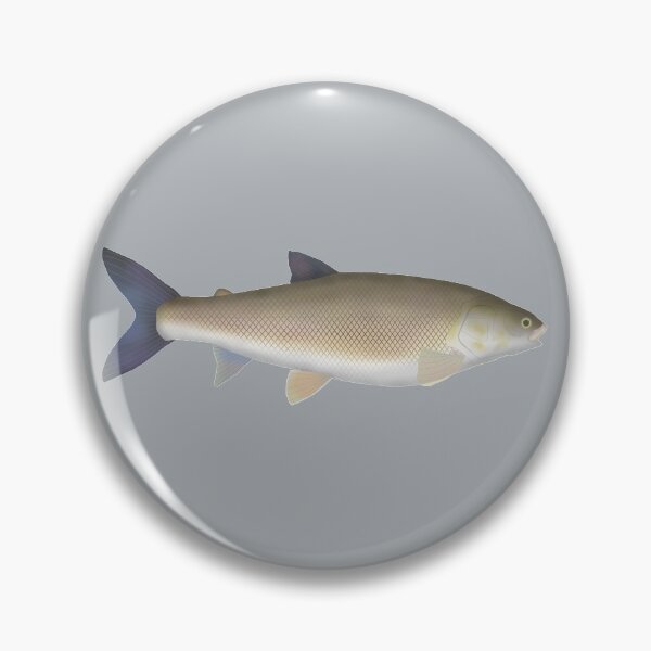 Item preview, Round Whitefish designed and sold by fishfolkart.